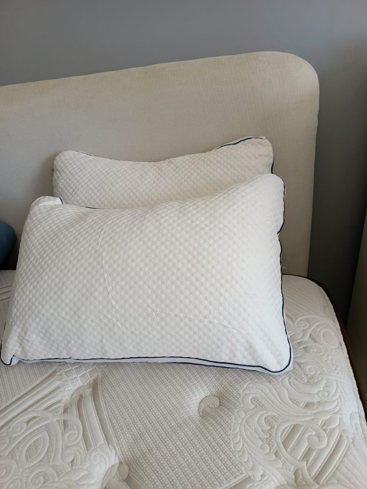 Shredded Memory Foam Pillow