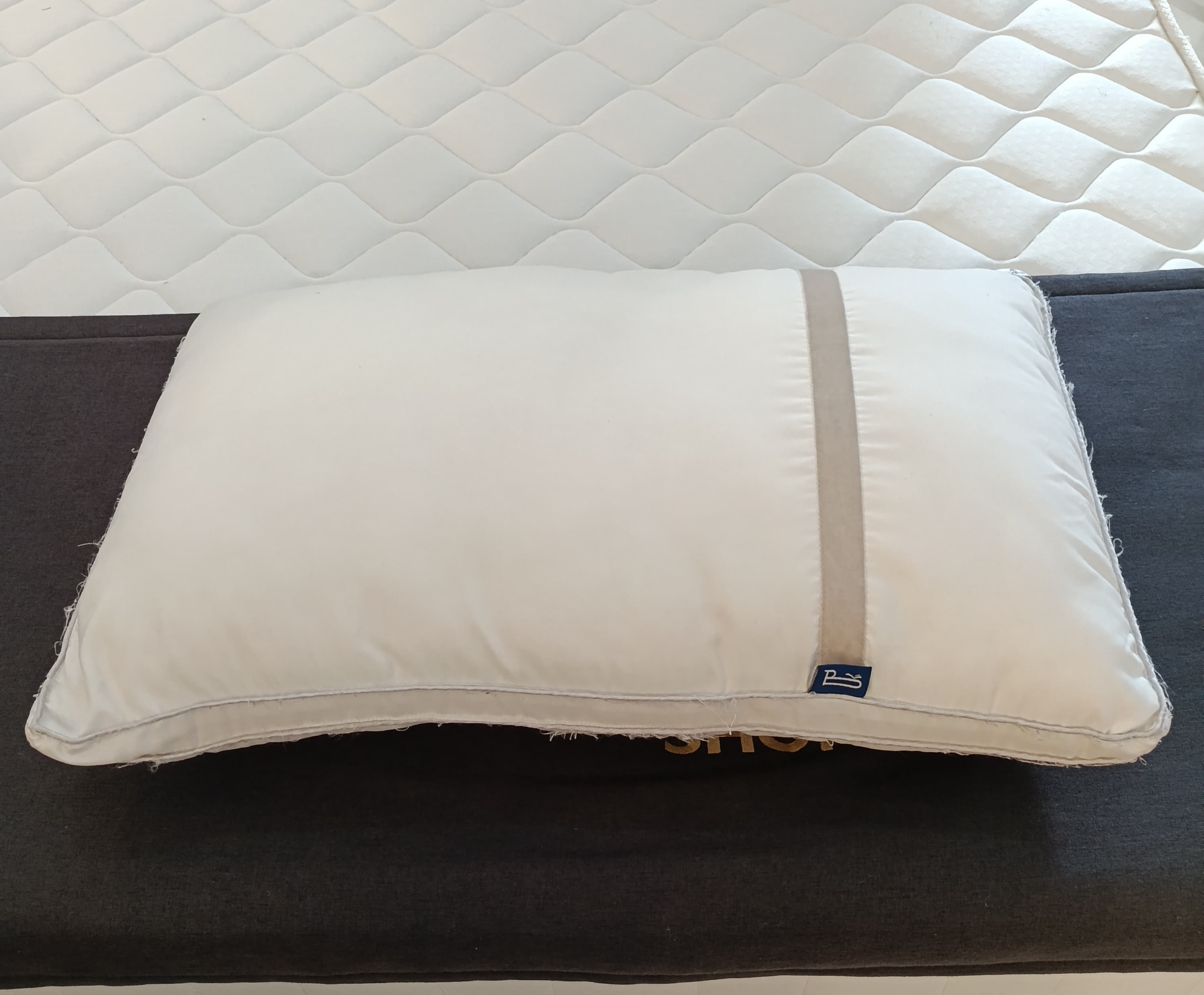 Bedstory Microfibre Pillow