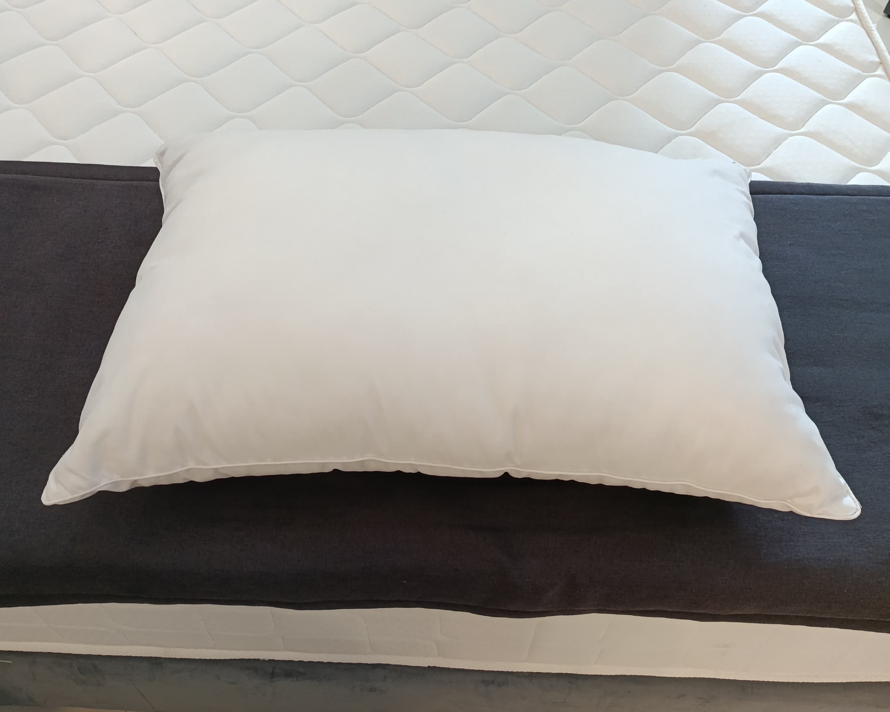 Microfibre Rococo Pillow (Queen)